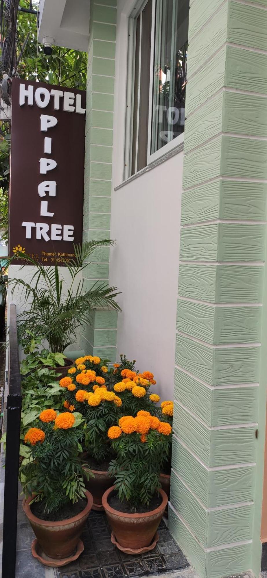 Hotel Pipal Tree Kathmandu Exteriör bild